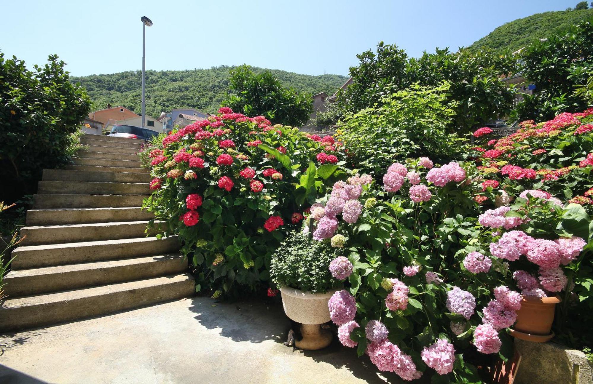 Apartments Raicevic Budva Dış mekan fotoğraf